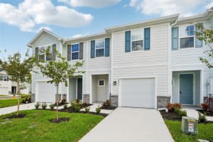 20377 LOU ANGELA LANE, LUTZ, FL 33558 - MLS#MFRTB8434941