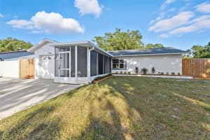 13901 PATHFINDER DRIVE, TAMPA, FL 33625 - MLS#MFRTB8434944