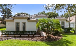 8463 DUNHAM STATION DRIVE, TAMPA, FL 33647 - MLS#MFRTB8434955