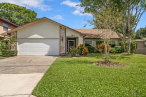 164 Lake Shore Dr W Dr W, PALM HARBOR 164 Lake Shore Dr W Dr W, PALM HARBOR