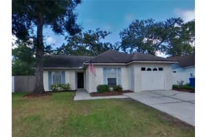 MLS# MFRTB8435020, Valrico, Florida 33596