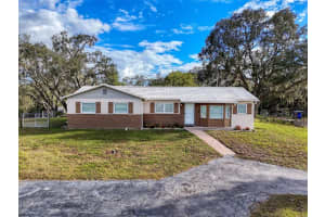 16136 DONNEY MOOR LANE, SPRING HILL, FL 34610 - MLS#MFRTB8435038