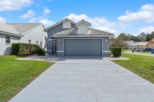 9288 NEW ORLEANS DRIVE, WEEKI WACHEE, FL 34613 - MLS#MFRTB8435047