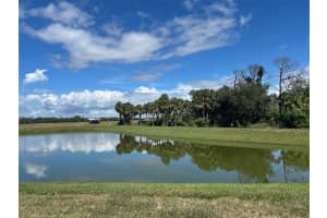 10104 HIDDEN HAMMOCK LOOP, PARRISH, FL 34219 - MLS#MFRTB8435054