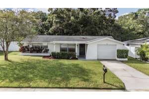 7916 Yucca Dr, NEW PORT RICHEY 7916 Yucca Dr, NEW PORT RICHEY