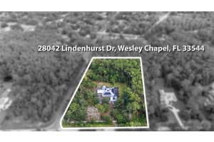 28042 LINDENHURST DRIVE, WESLEY CHAPEL, FL 33544 - MLS#MFRTB8435109