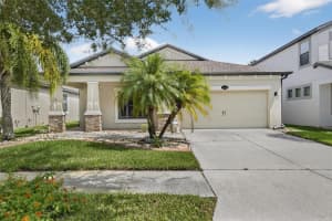11648 PALMETTO PINE STREET, RIVERVIEW, FL 33569 - MLS#MFRTB8435112