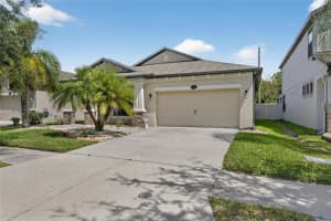 11648 PALMETTO PINE STREET, RIVERVIEW, FL 33569 - MLS#MFRTB8435112