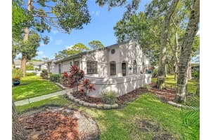 3860 PHEASANT COURT, PALM HARBOR, FL 34685 - MLS#MFRTB8435130