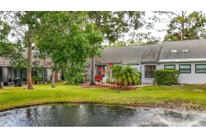 3860 PHEASANT COURT, PALM HARBOR, FL 34685 - MLS#MFRTB8435130