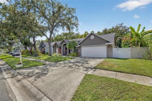 15026 ROCKY LEDGE DRIVE, TAMPA, FL 33625 - MLS#MFRTB8435181