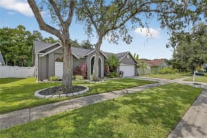 15026 ROCKY LEDGE DRIVE, TAMPA, FL 33625 - MLS#MFRTB8435181