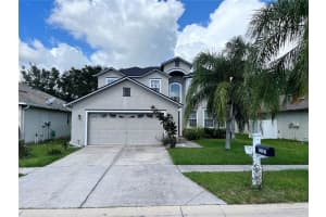 31029 BACLAN DRIVE, WESLEY CHAPEL, FL 33545 - MLS#MFRTB8435187