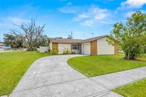 14002 ARBOR KNOLL CIRCLE, TAMPA, FL 33625 - MLS#MFRTB8435193