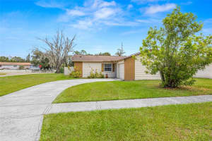 14002 ARBOR KNOLL CIRCLE, TAMPA, FL 33625 - MLS#MFRTB8435193