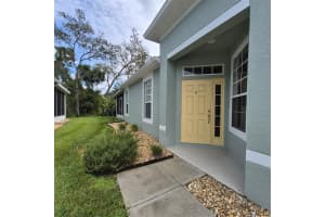10717 ASHFORD OAKS DRIVE, TAMPA, FL 33625 - MLS#MFRTB8435219
