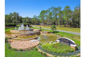 10005 OCEAN DRIVE, CITRUS SPRINGS, FL 34434 - MLS#MFRTB8435237