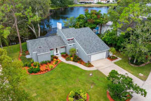 3126 Harvest Moon Dr, PALM HARBOR