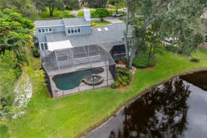 3126 HARVEST MOON DRIVE, PALM HARBOR, FL 34683 - MLS#MFRTB8435248