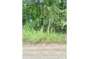 0 8TH PLACE, OCALA, FL 34481 - MLS#MFRTB8435254