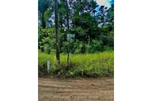 0 8TH PLACE, OCALA, FL 34481 - MLS#MFRTB8435254