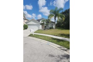 10301 Birdwatch Dr, TAMPA