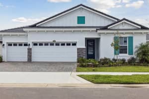 10303 SURREY ROSE DRIVE, SAN ANTONIO, FL 33576 - MLS#MFRTB8435278