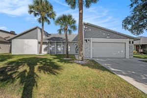 , TAMPA