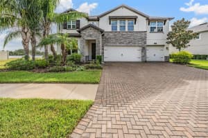 18304 ROSEATE DRIVE, LUTZ, FL 33558 - MLS#MFRTB8435330