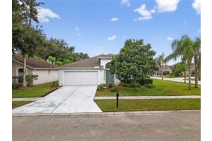 2913 Butterfly Landing Dr, LAND O LAKES