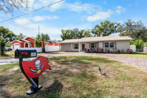 8008 N Gomez Ave, TAMPA
