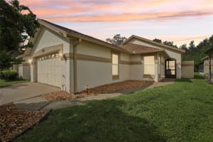 11624 PEACH GROVE LANE, ORLANDO, FL 32821 - MLS#MFRTB8435383