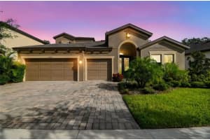 12948 Twin Bridges Dr, RIVERVIEW 12948 Twin Bridges Dr, RIVERVIEW