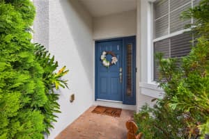 19204 STONE HEDGE DRIVE, TAMPA, FL 33647 - MLS#MFRTB8435426