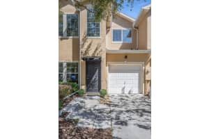 16313 Newbury Palms Ct, TAMPA