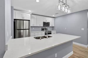 12909 STAR COUNTRY LANE, DOVER, FL 33527 - MLS#MFRTB8435483