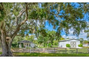 3011 LEWIS ROAD, DOVER, FL 33527 - MLS#MFRTB8435489