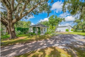 3011 LEWIS ROAD, DOVER, FL 33527 - MLS#MFRTB8435489