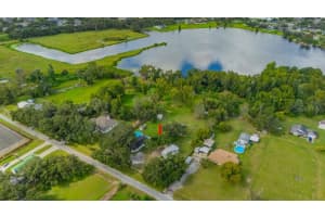 3011 LEWIS ROAD, DOVER, FL 33527 - MLS#MFRTB8435489