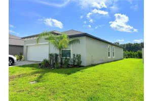 9776 BRANCHING SHIP TRACE, WESLEY CHAPEL, FL 33545 - MLS#MFRTB8435491