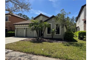 8237 DUNHAM STATION DRIVE, TAMPA, FL 33647 - MLS#MFRTB8435511
