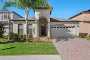 11020 Tahiti Isle Ln, TAMPA