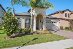 11020 TAHITI ISLE LANE, TAMPA, FL 33647 - MLS#MFRTB8435528