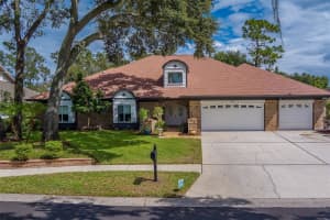 214 SHEFFIELD CIRCLE, PALM HARBOR, FL 34683 - MLS#MFRTB8435532