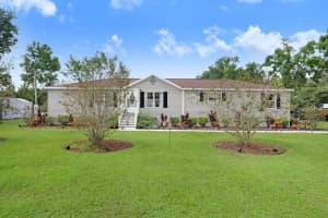 4219 SEABERG ROAD, ZEPHYRHILLS, FL 33541 - MLS#MFRTB8435556