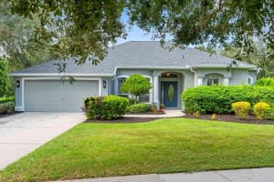 12251 Creek Edge Dr, RIVERVIEW