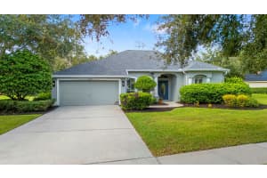 12251 CREEK EDGE DRIVE, RIVERVIEW, FL 33579 - MLS#MFRTB8435576