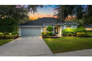 12251 CREEK EDGE DRIVE, RIVERVIEW, FL 33579 - MLS#MFRTB8435576