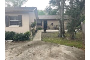 179 MARGIE STREET, PALM HARBOR, FL 34683 - MLS#MFRTB8435583