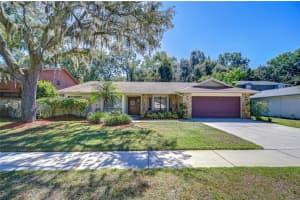 6011 Soaring Ave, TEMPLE TERRACE
